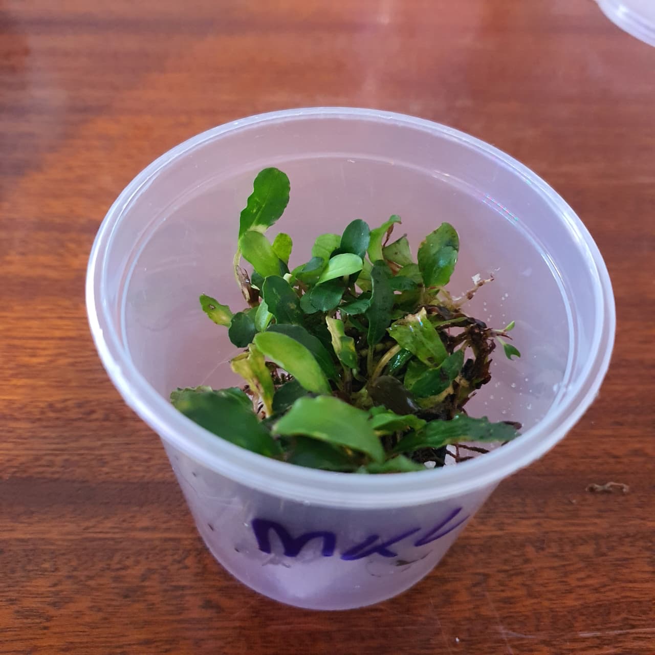 cc07dd2b-c722-4252-8005-2155380f8b0c